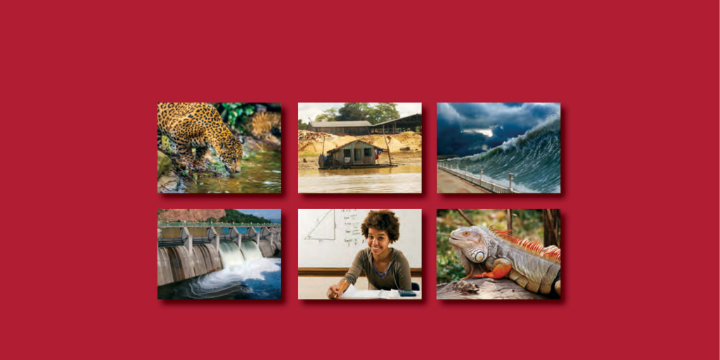 Annual Report 2013 – ICSU Regional Office for Latin America/Caribbean