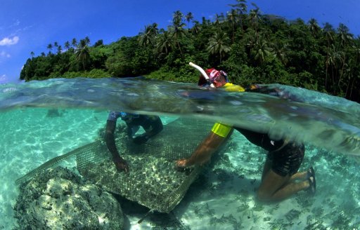 "Es tracta d'anar més enllà del que és habitual": Governació oceànica per a les Illes Salomó