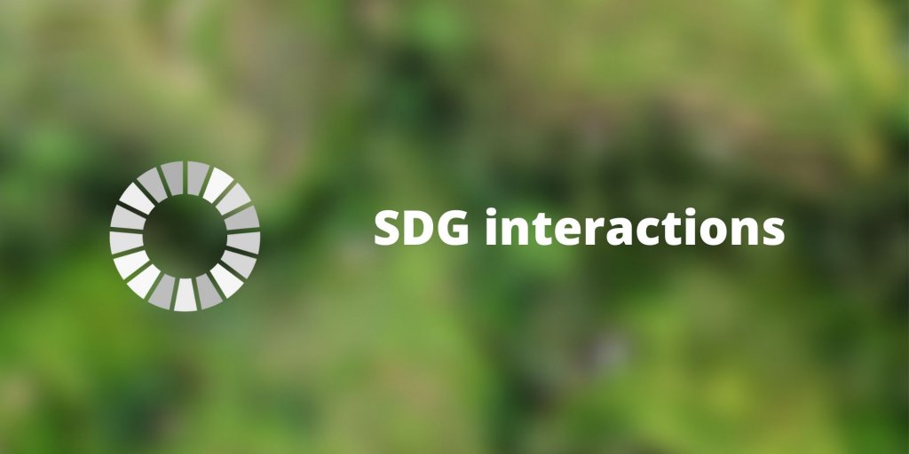 SDG interactions as a national policy driver