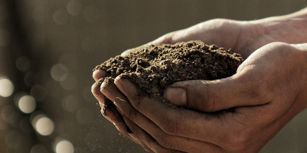 Unearthing sustainability: soil science for the SDGs