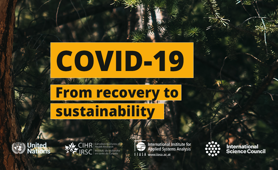 COVID-19: de la recuperació a la sostenibilitat
