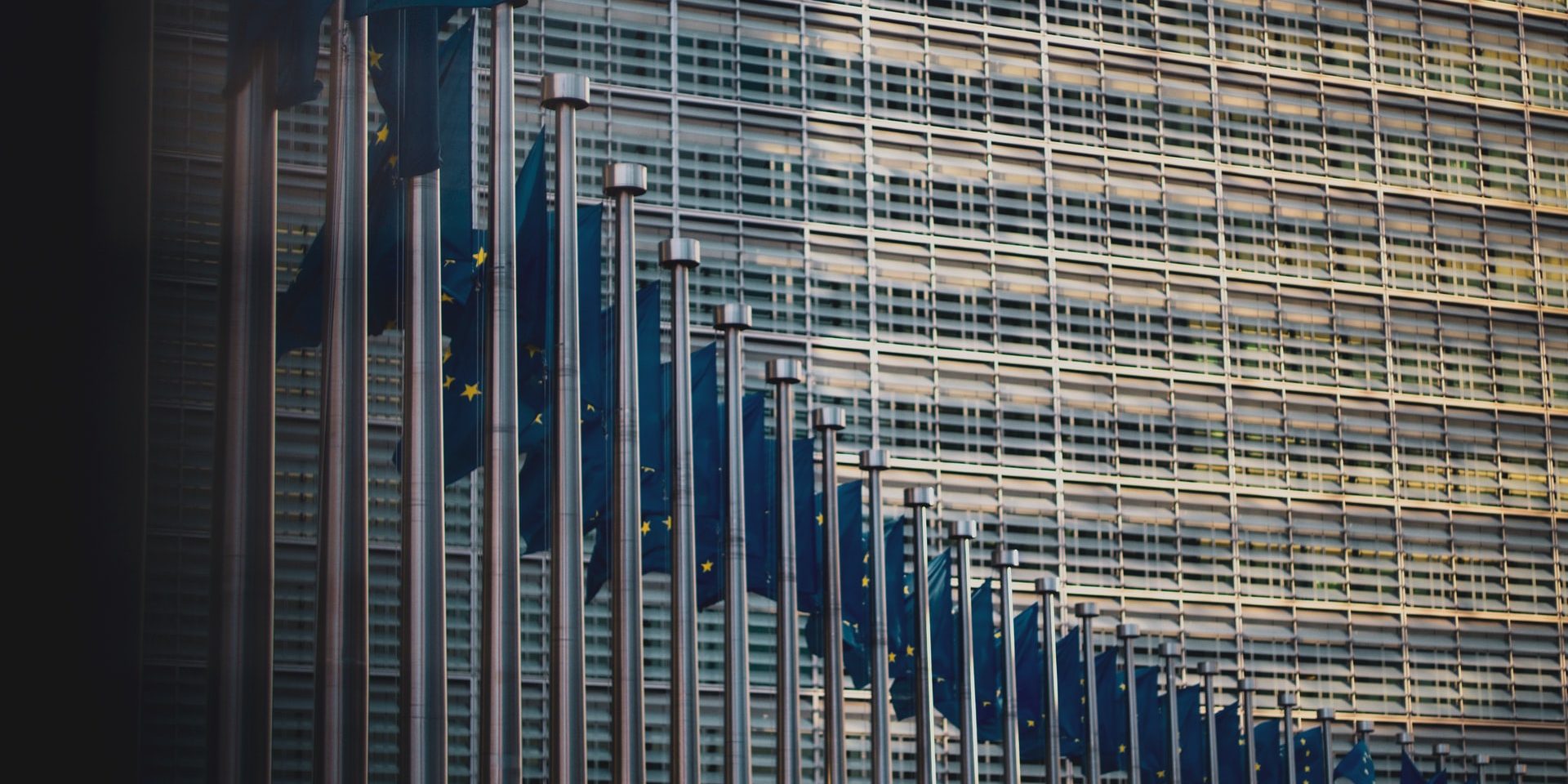 European flags in front of buildings