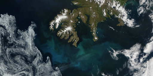 アイスランド沖で植物プランクトンが発生