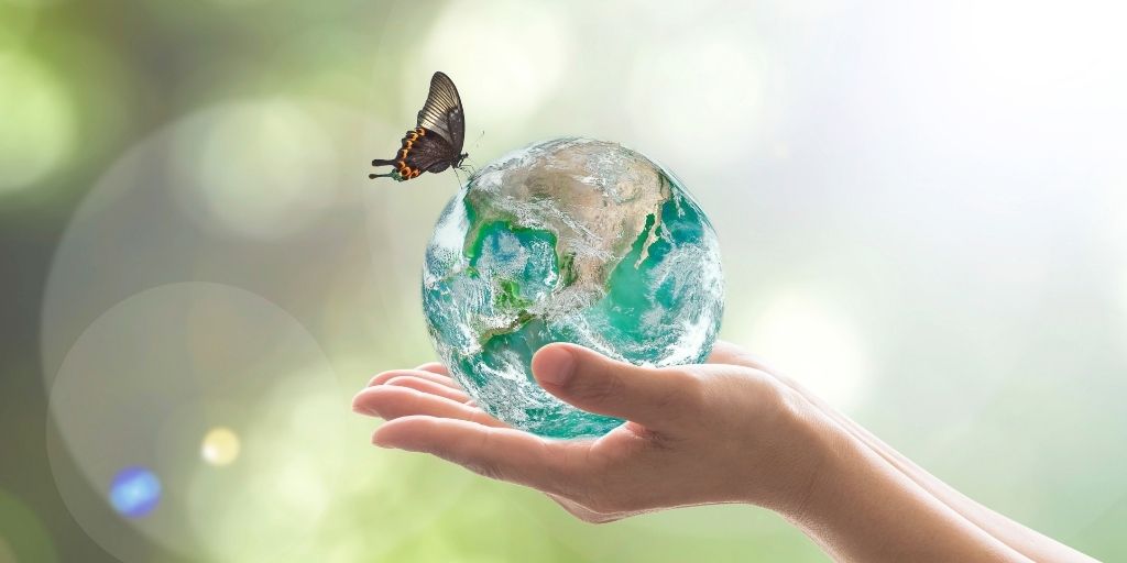 Hands holding a globe with a butterfly