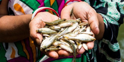 Premiul Mondial pentru Alimentație din 2021 recunoaște că peștii sunt esențiali pentru reducerea foametei și a malnutriției