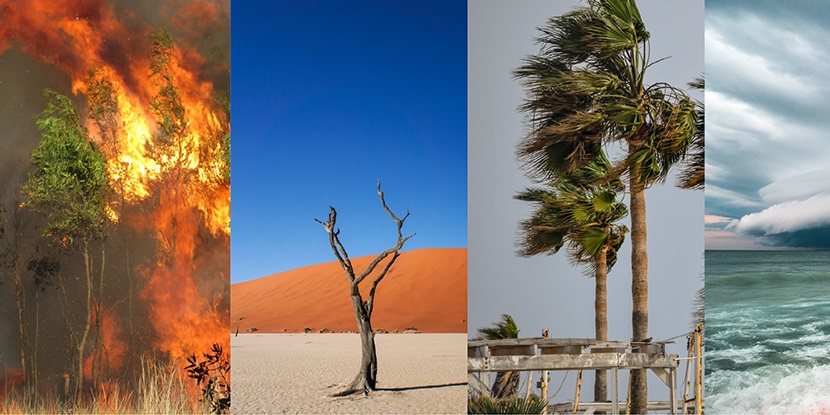 Collage of 4 photos showing climate disasters
