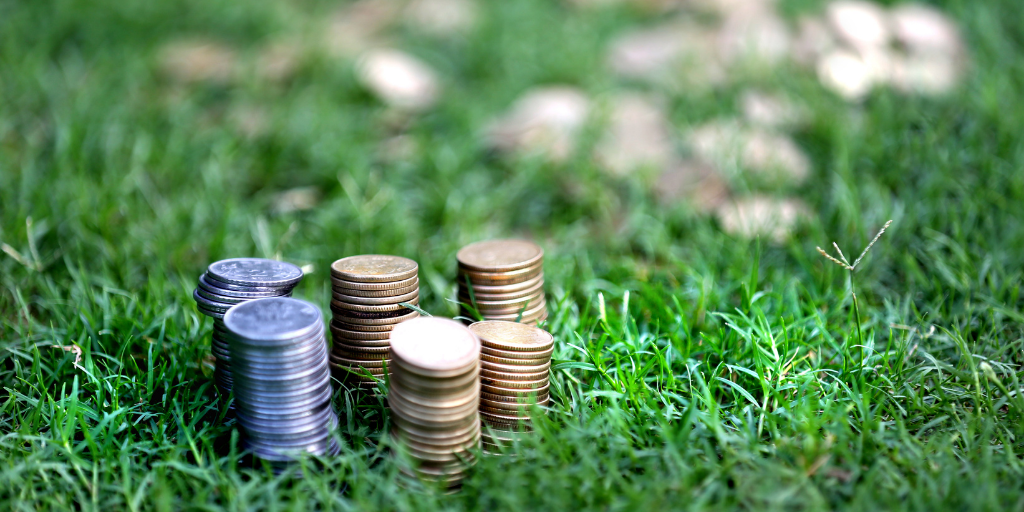 Coins on grass