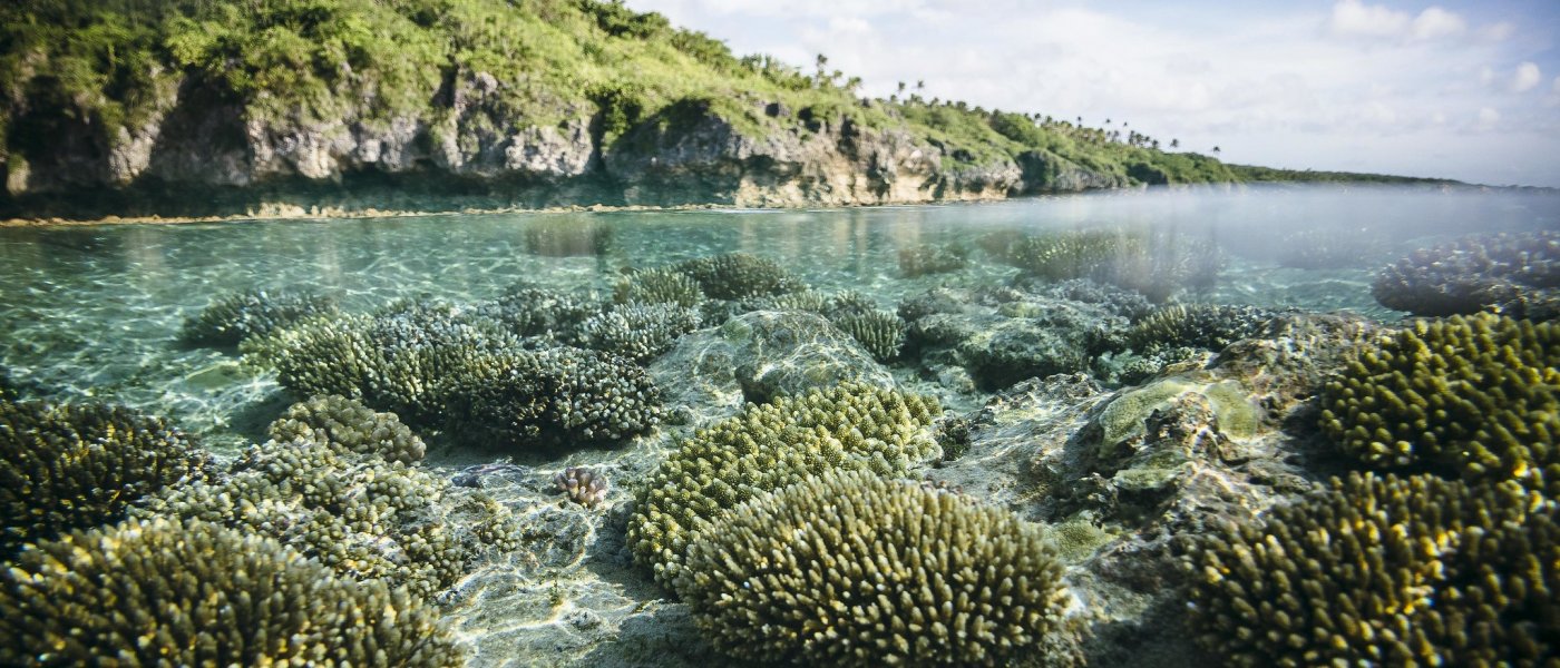 coral and land biodiversity