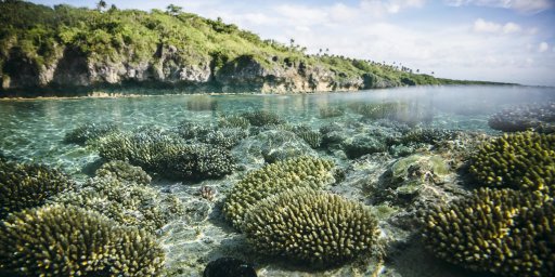 coral and land biodiversity