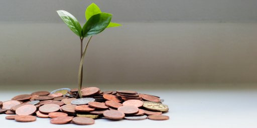 sapling and coins
