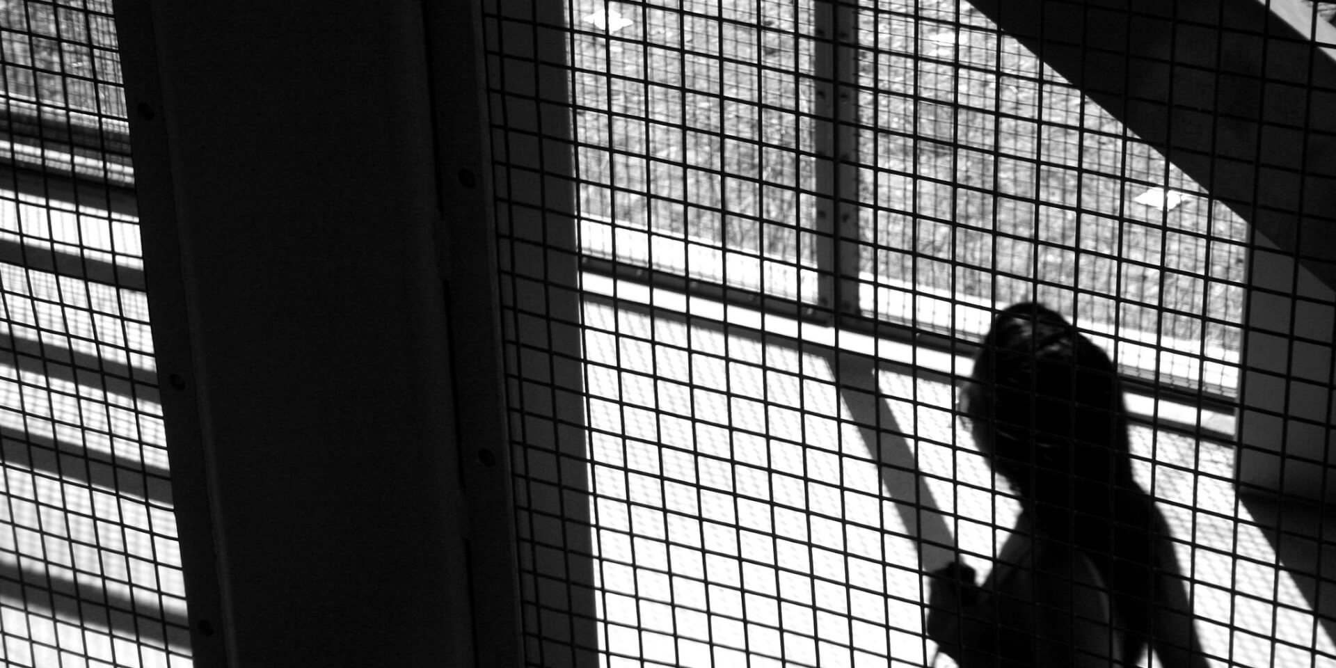 woman in shadows near fence