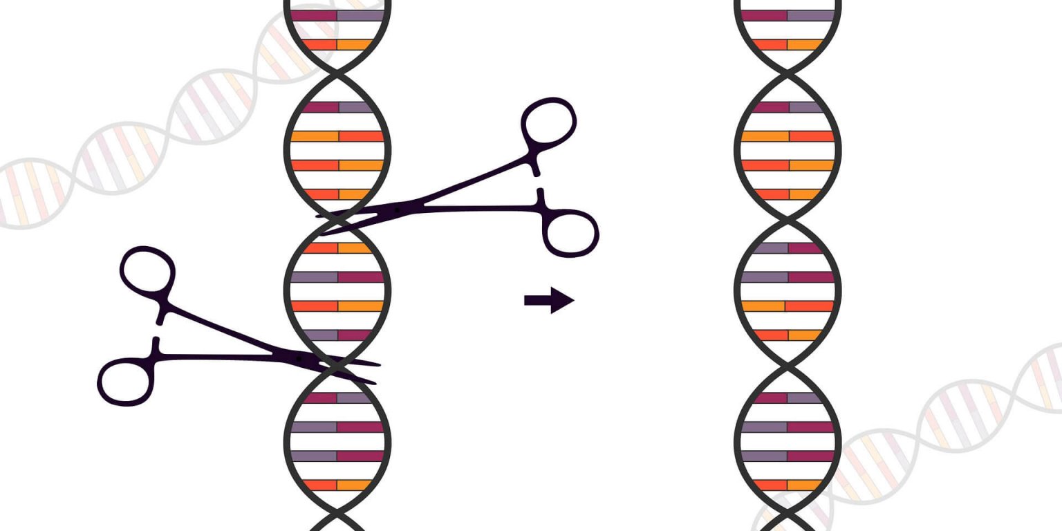 Online event series: Looking Ahead to the Third Human Genome Editing Summit