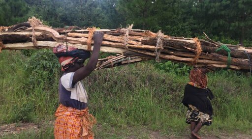 Forêts, arbres et réduction de la pauvreté en Afrique