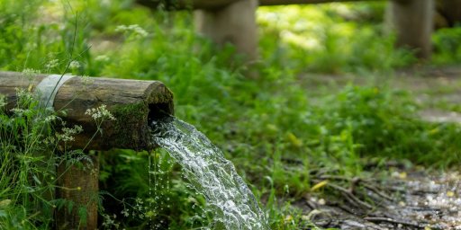 stream of water coming out of a wooden pipe into forrest