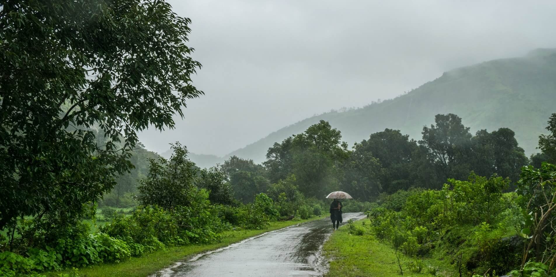 Green monsoon road in India