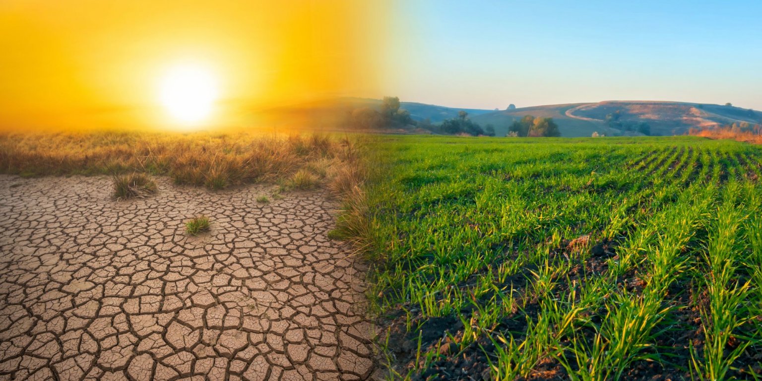 Crise climatique et risques systémiques : leçons tirées de la COVID-19