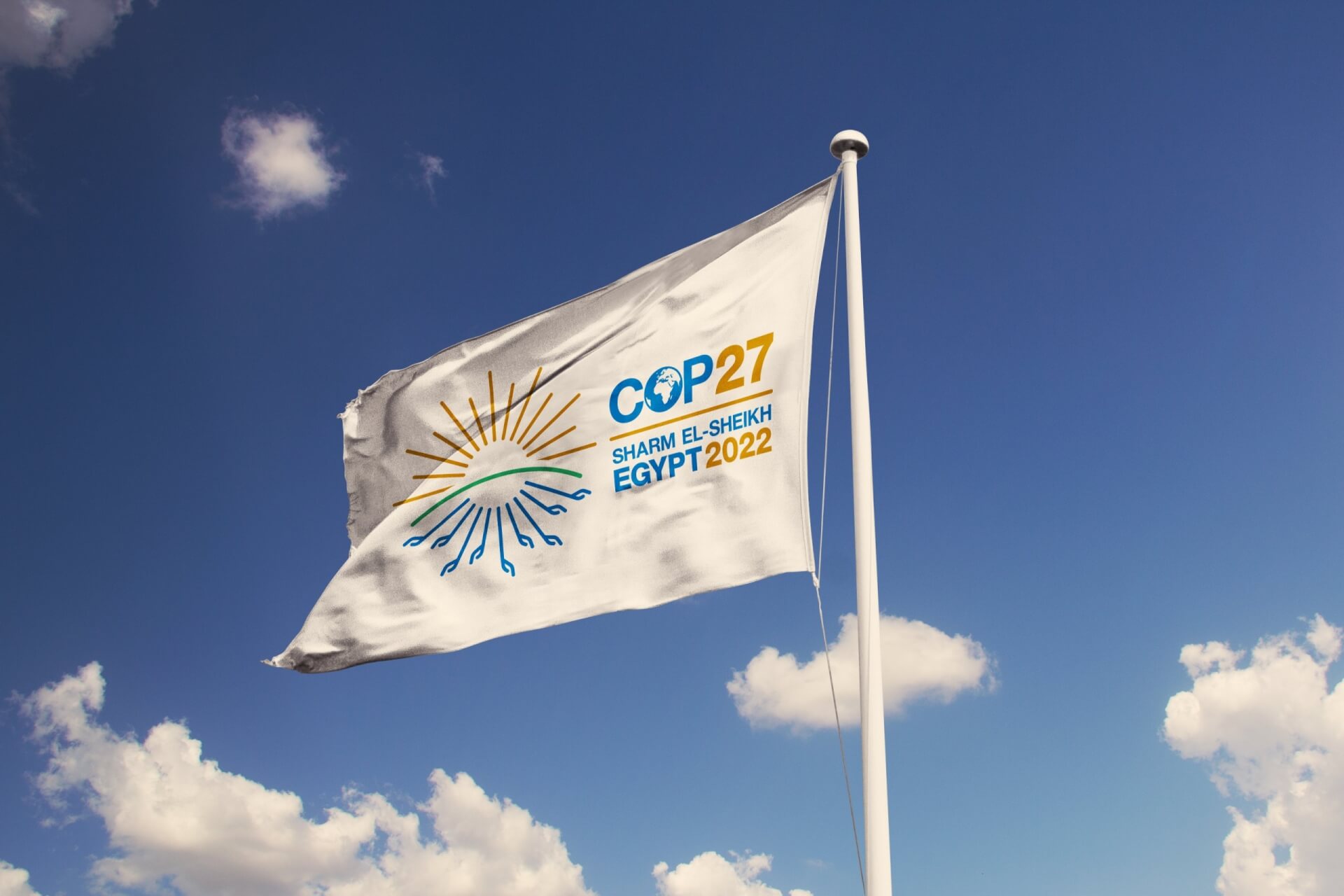 bandera COP27