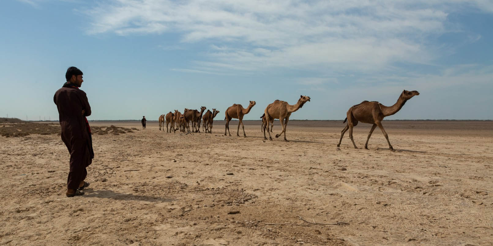 Proyecto tapiz pastor de camellos