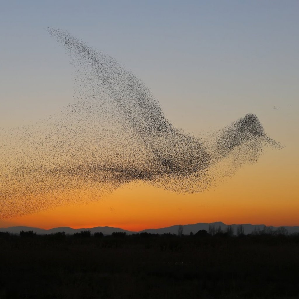 Homepage - International Science Council - International Science Council