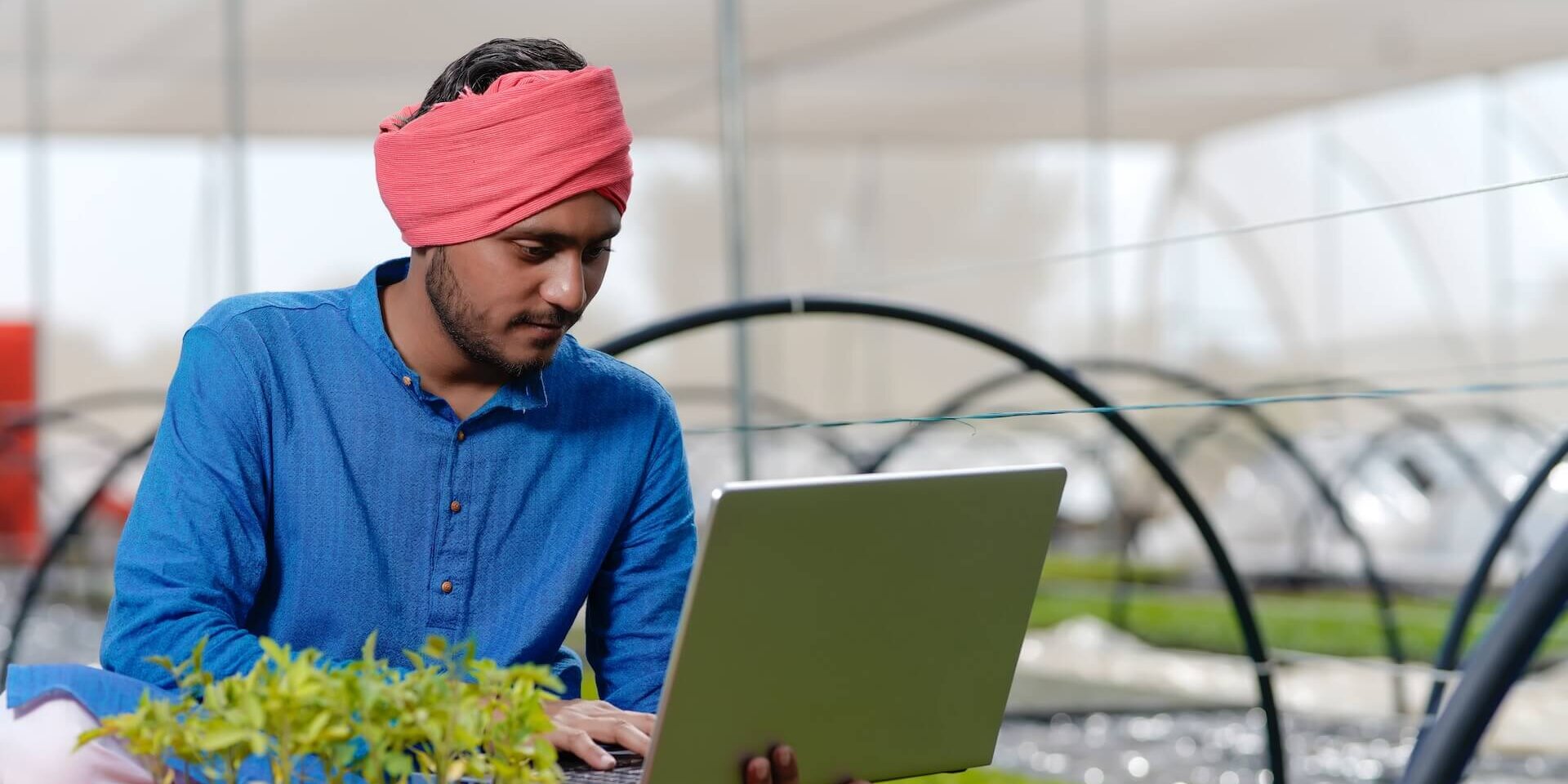 Man in greenhouse typing on a laptop
