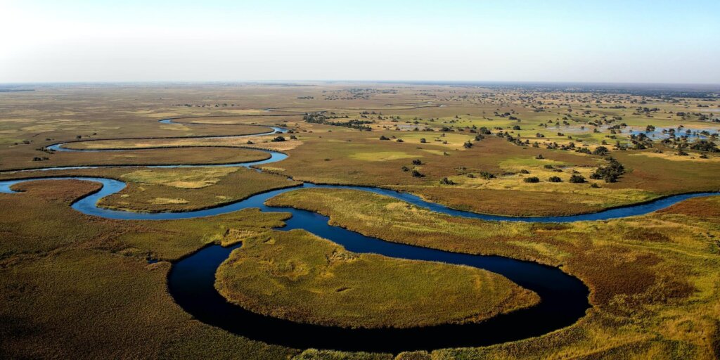 Aerial shot of the Okavango River