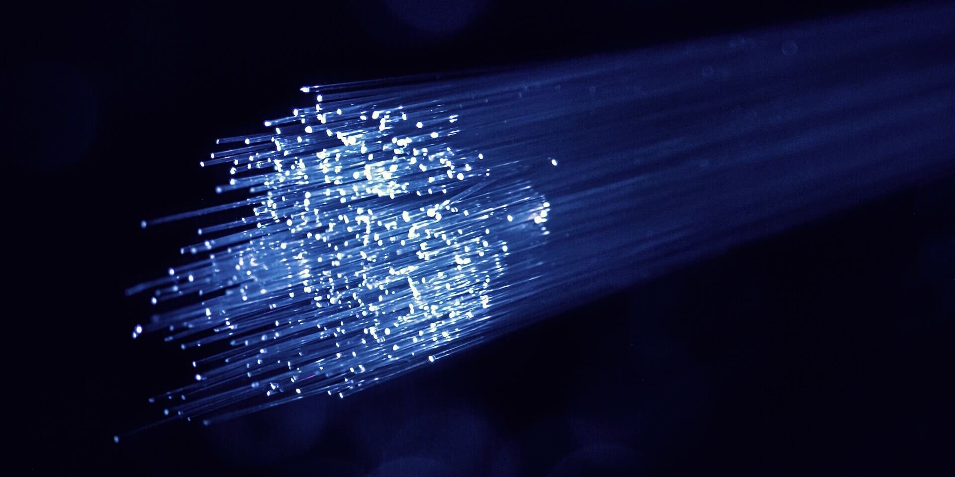 A bundle of optical fibers