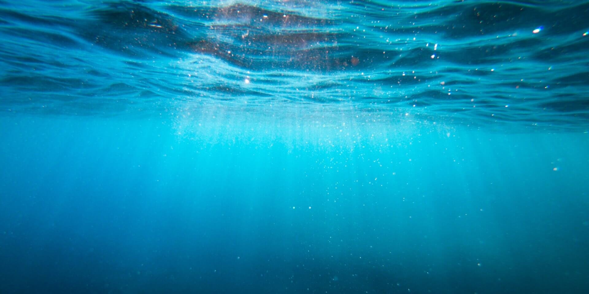 Underwater photo showing a clear blue body of water