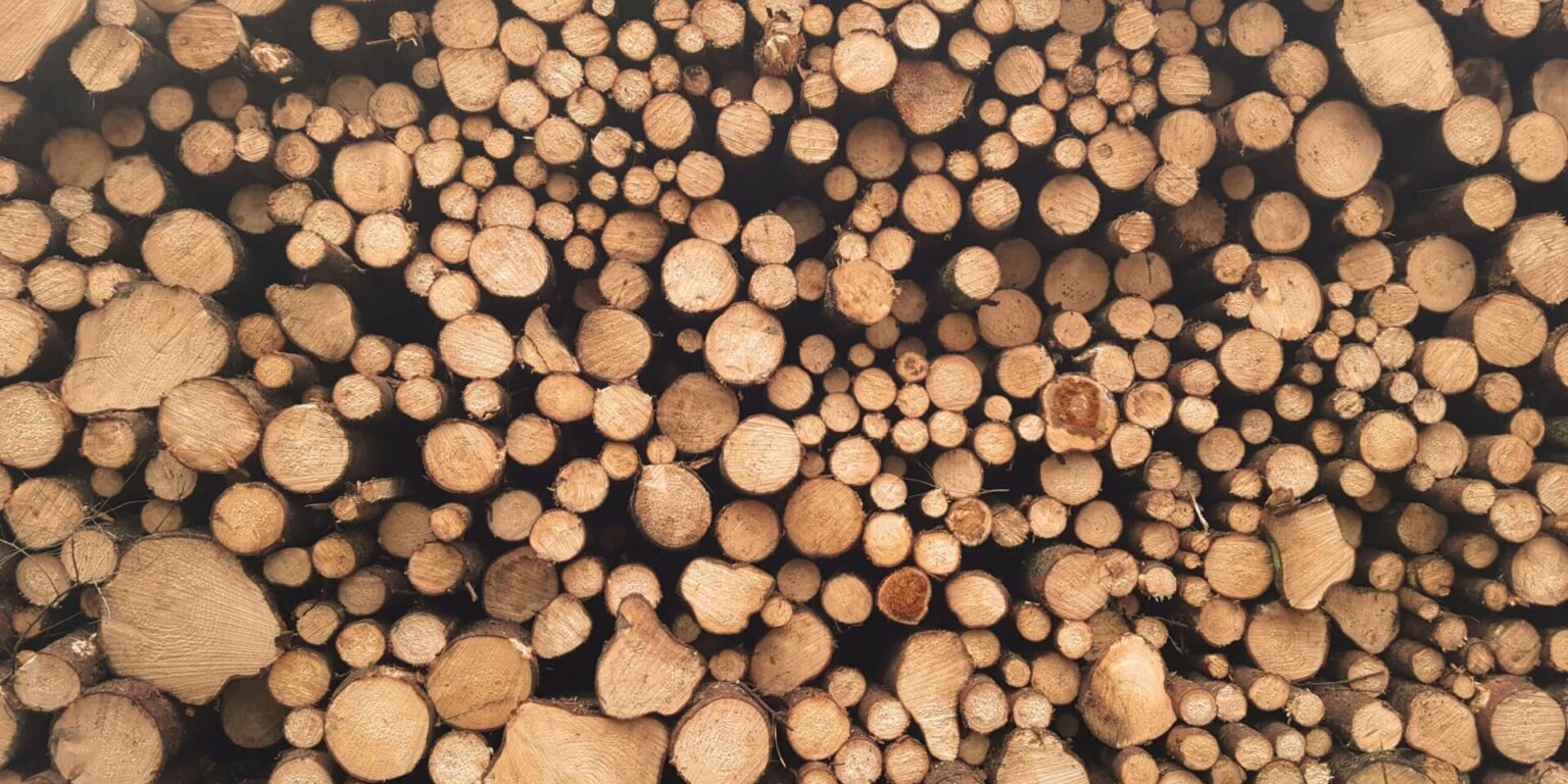 2-й вебинар – Социально-экономические и политические факторы, влияющие на поставки древесины из европейских лесов