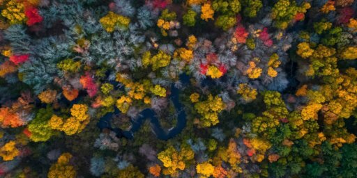 An aerial photo of a forest with beautiful and colourful foliage