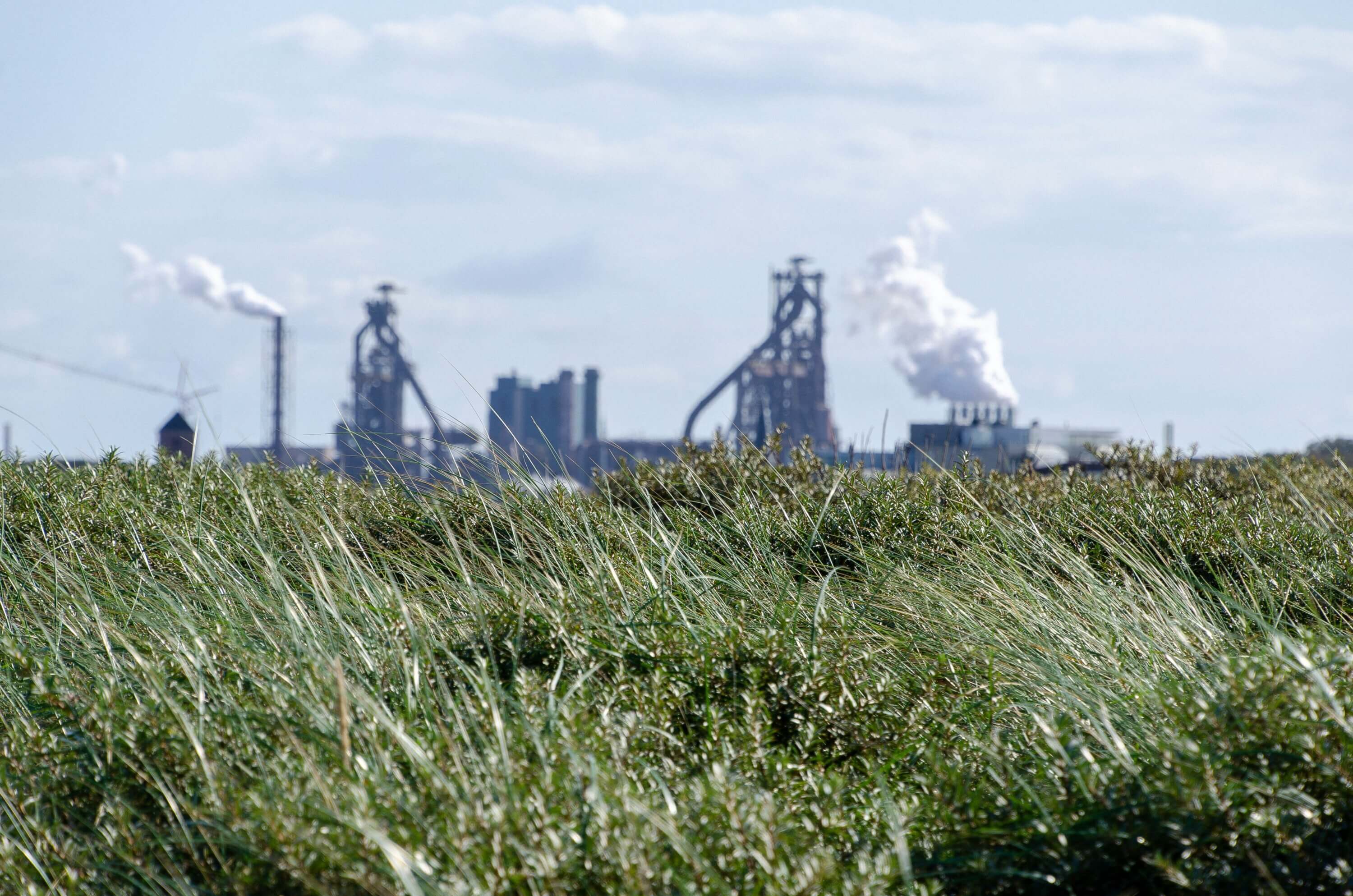 A photo a chemical plant with grass in the foreground