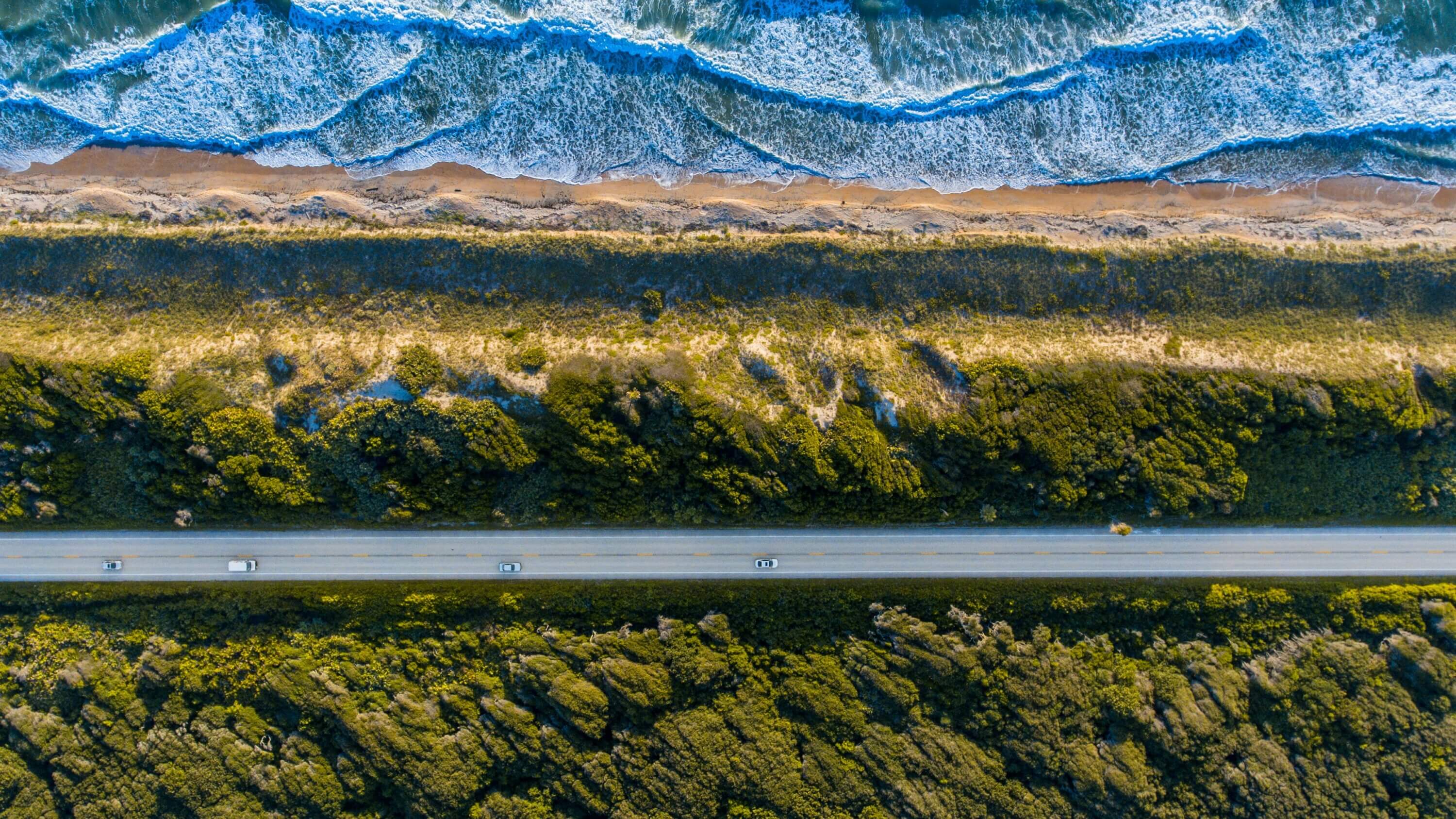 A bird's eye view of a road and trees beside the ocean