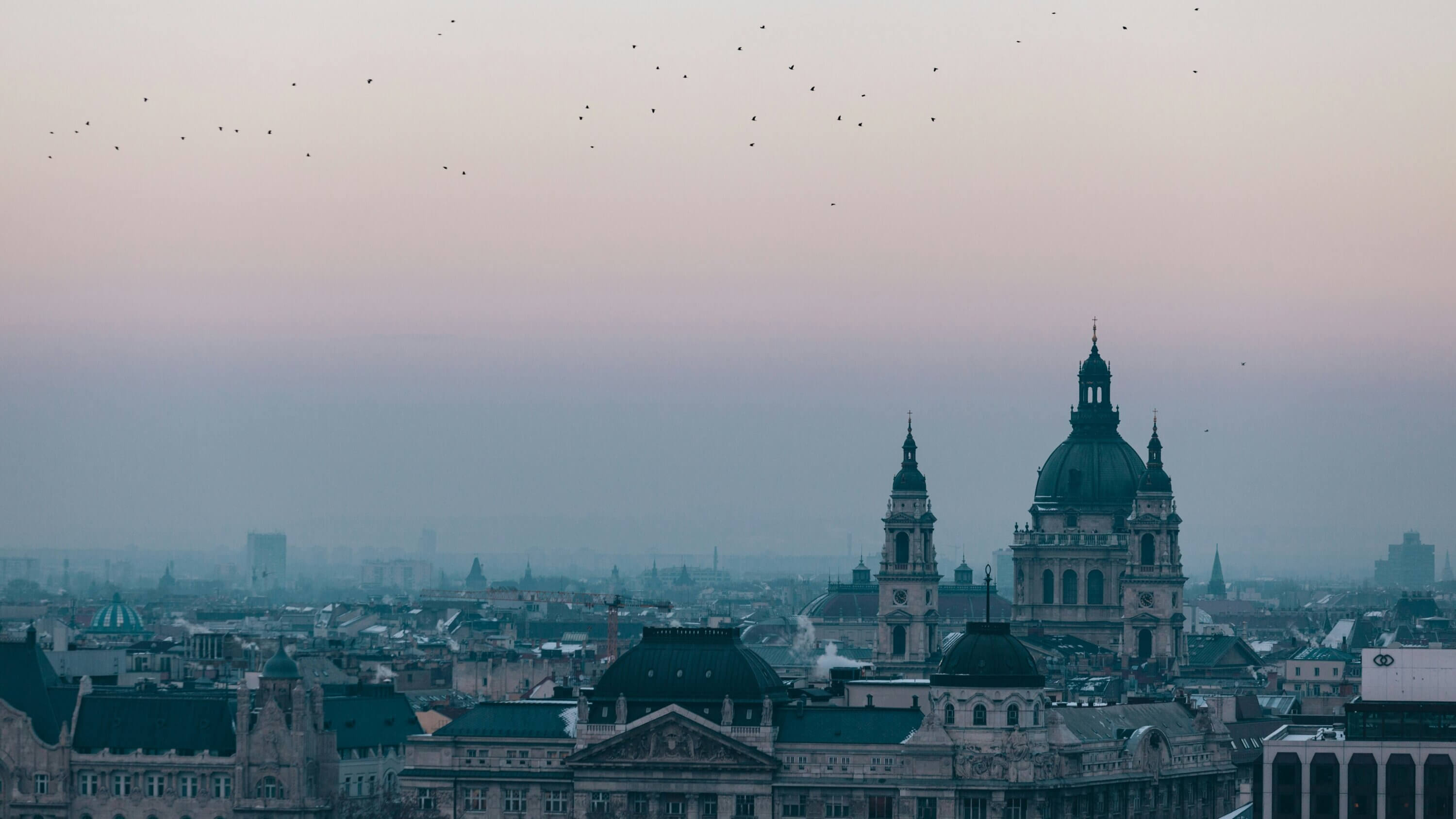 A view of Budapest city during dusk with a flock of birds flying above