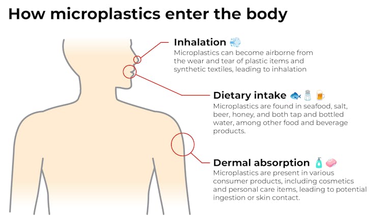 Graphic of a body showing where microplastics get in, with red markers pointing to locations