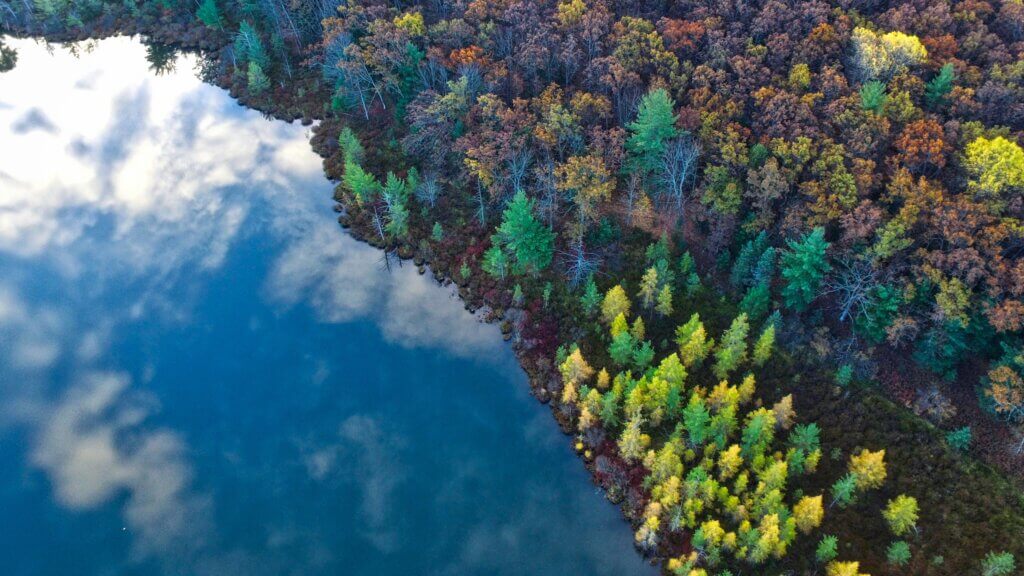 A photo taken from above showing the sky's reflection in the water by the trees