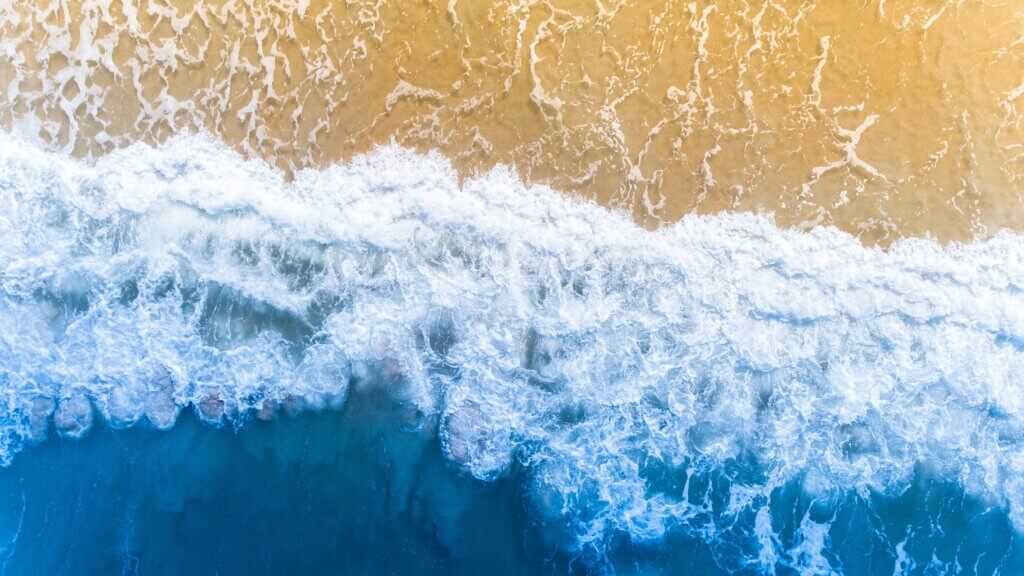 Bird's eye view of a seashore