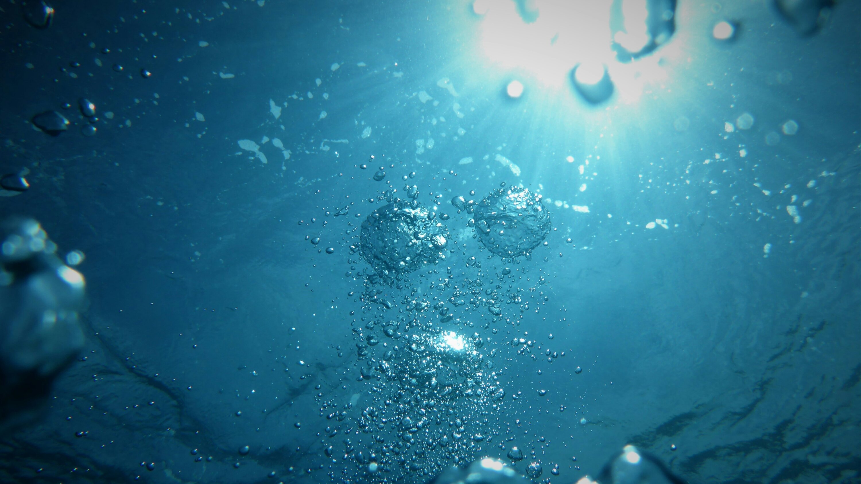 Vezikoj iras supren en akvoareo