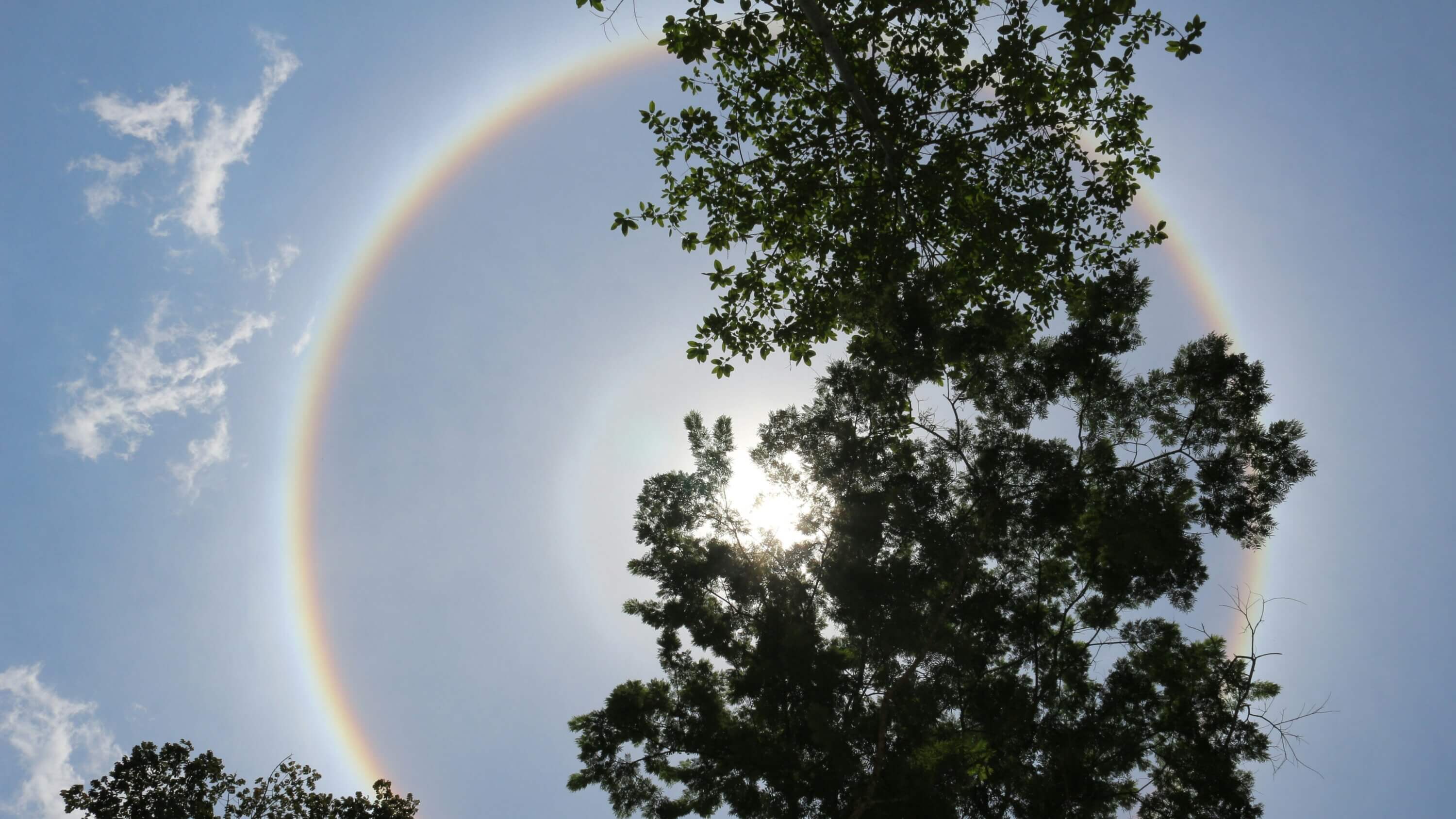 foto d'Amazones, selva amazònica, terra i sol
