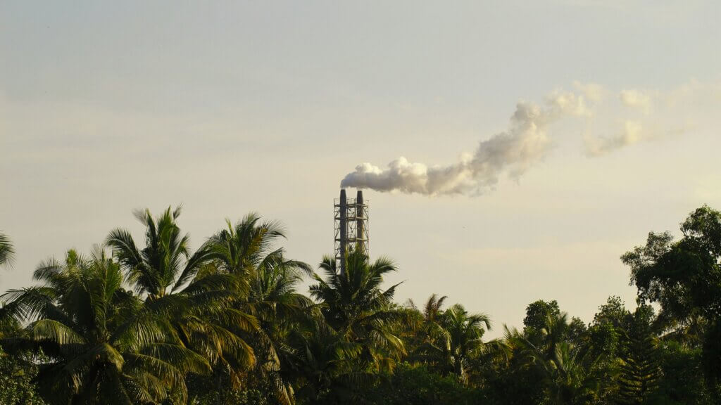 멀리서 보이는 공장과 전경에 보이는 나무들