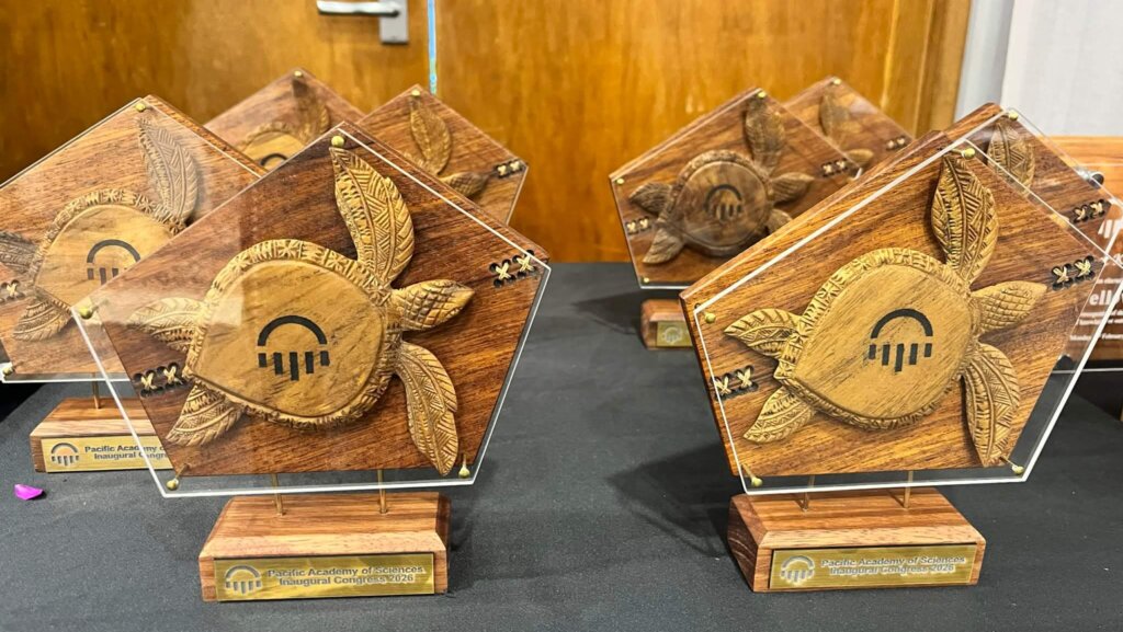 Plagas hechas por la Academia del Pacífico con tortugas en ella